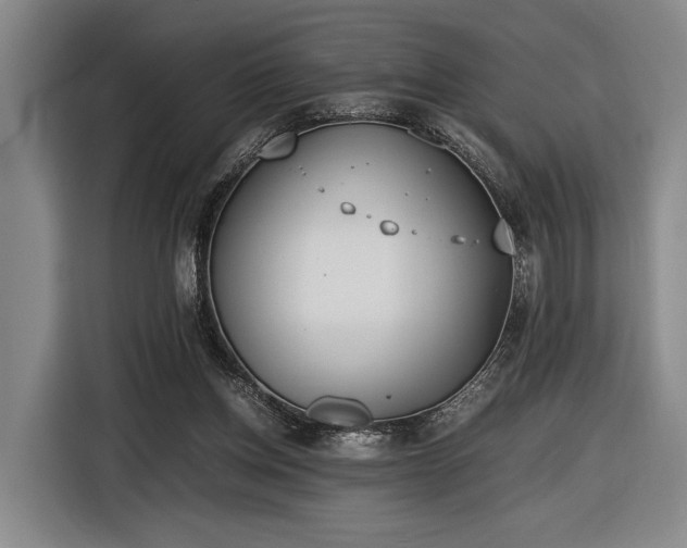 X0000116460158200912161239