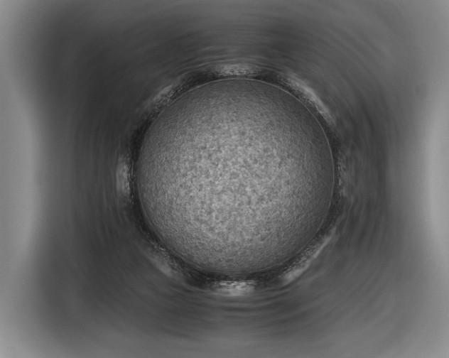 X0000116460161200912161239