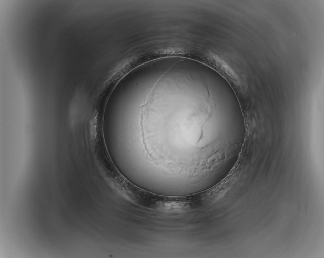 X0000116460163200912161239