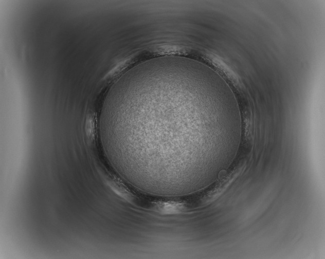 X0000116460165200912161239
