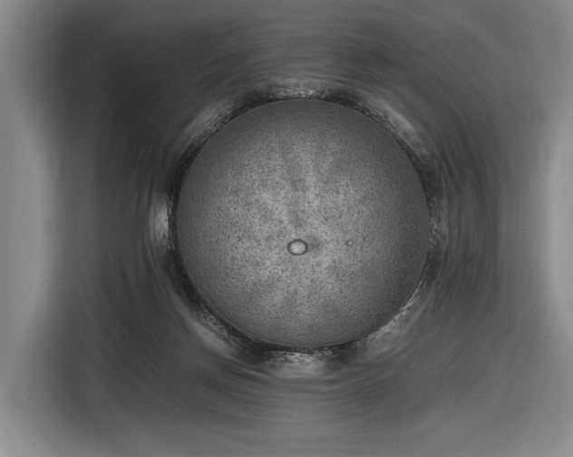 X0000116460166200912161239