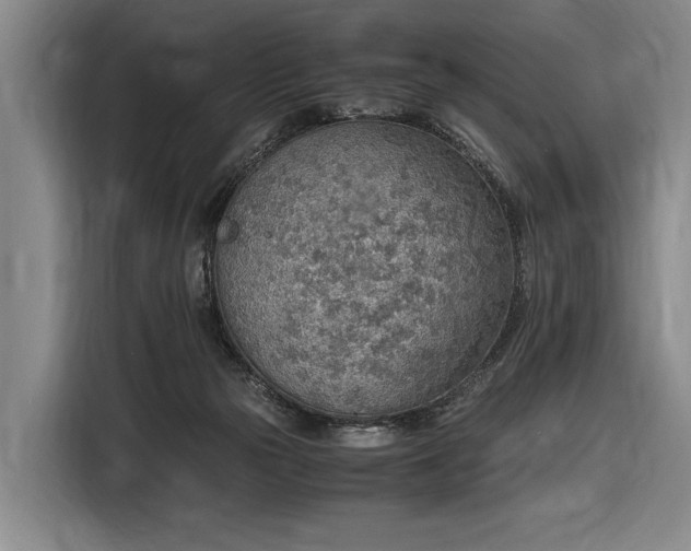 X0000116460169200912161239