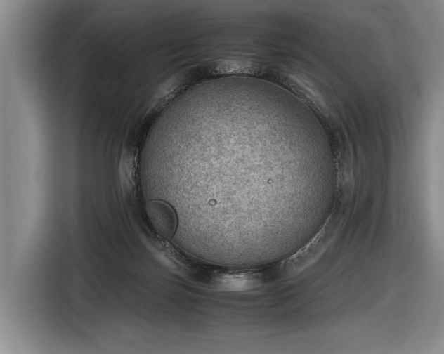 X0000116460171200912161239