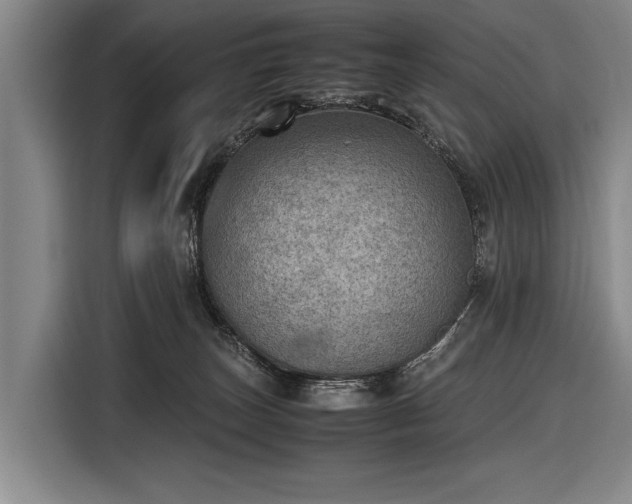 X0000116460179200912161239