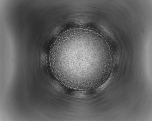X0000116460182200912161239