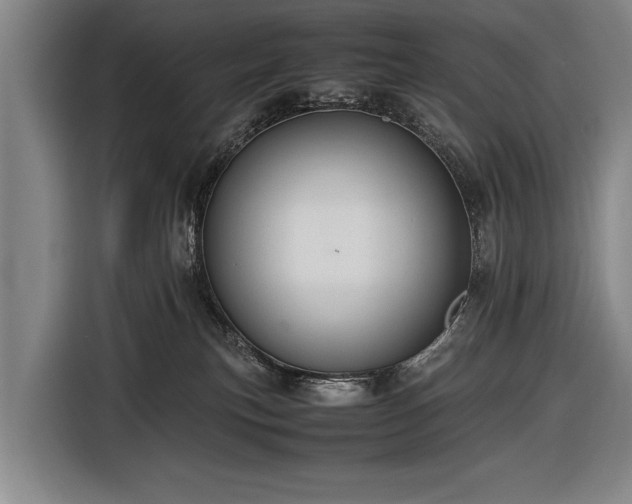 X0000116460183200912161239
