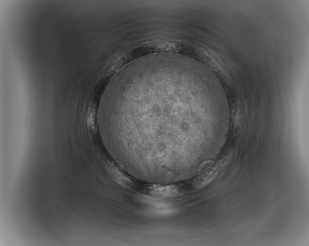 X0000116460185200912161239