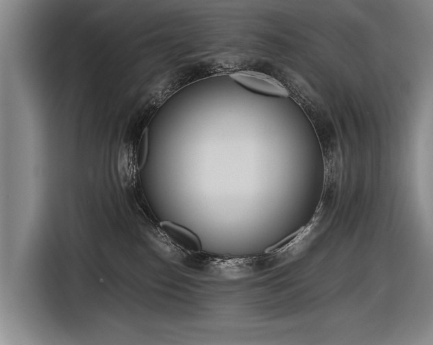 X0000116460186200912161239