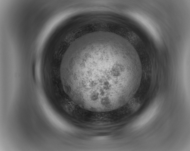 X0000116460189200912161239