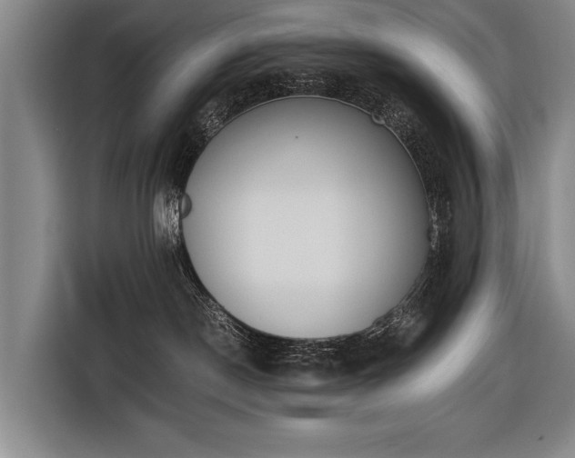 X0000116460190200912161239