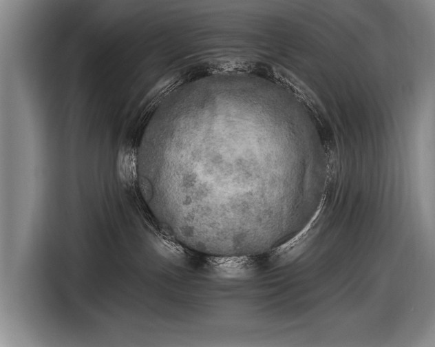 X0000116460191200912161239
