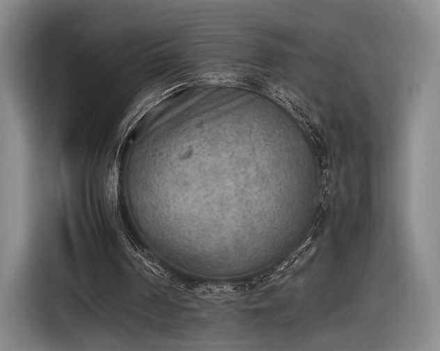 X0000116460194200912161239