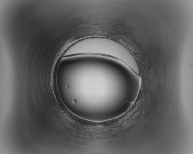 X0000116460195200912161239