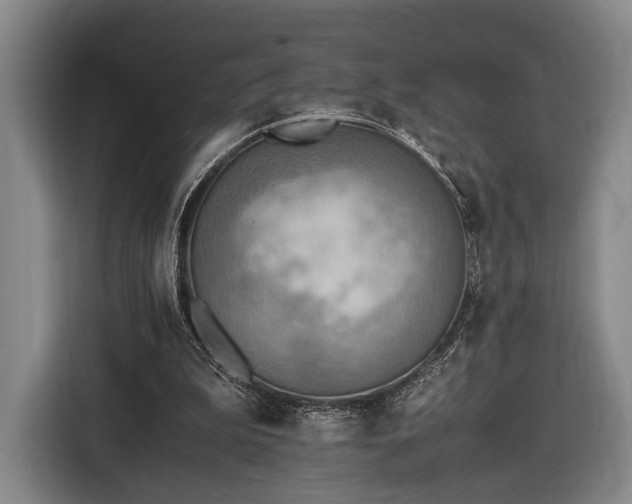 X0000116460199200912161239