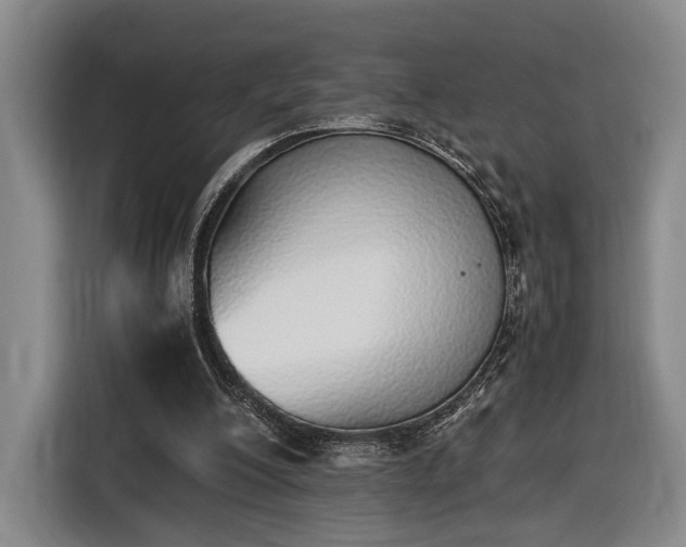 X0000116460200200912161239