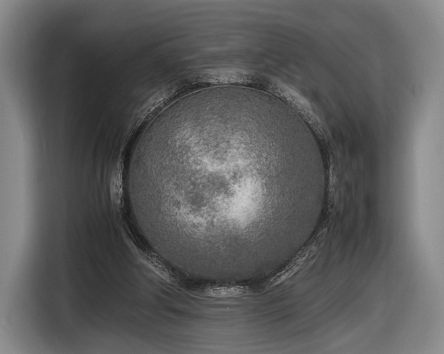 X0000116460202200912161239