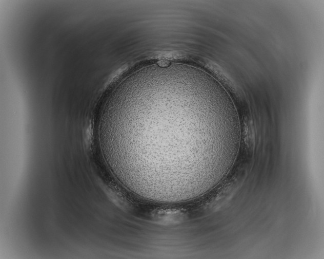 X0000116460208200912161239