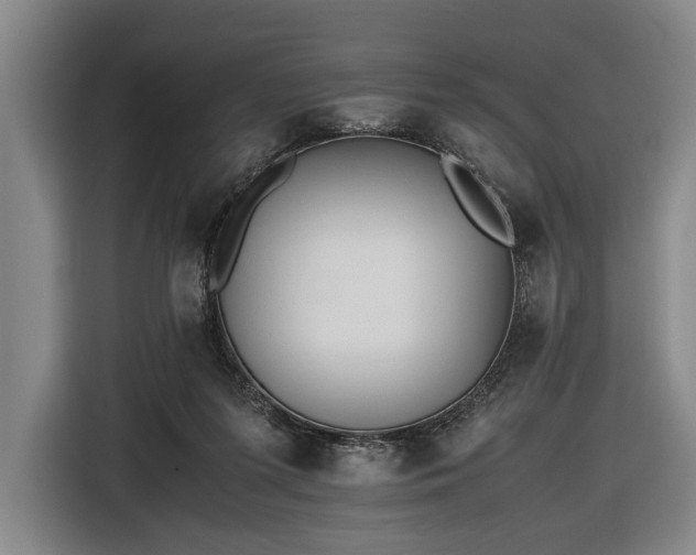 X0000116460215200912161239
