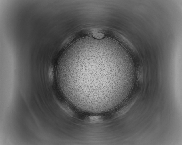 X0000116460216200912161238