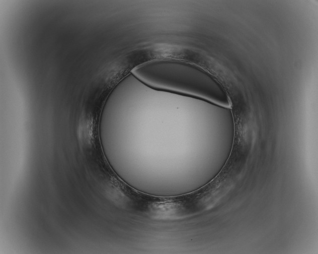X0000116460219200912161238