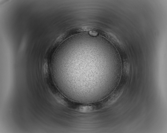 X0000116460220200912161238