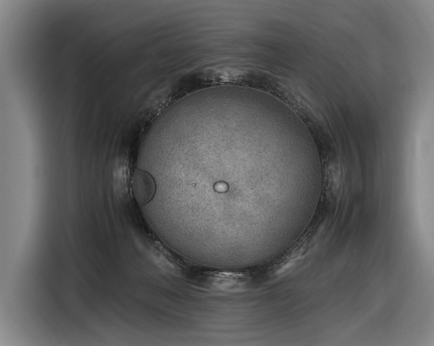X0000116460222200912161238