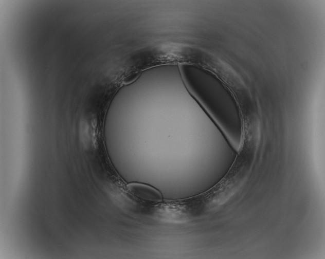 X0000116460223200912161238