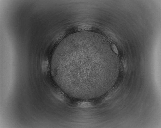 X0000116460224200912161238
