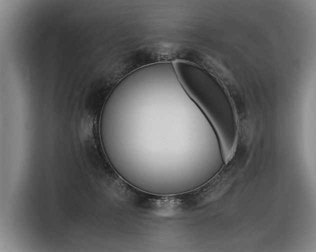 X0000116460225200912161238