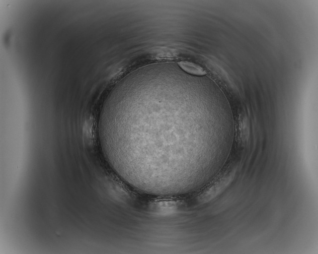 X0000116460228200912161238