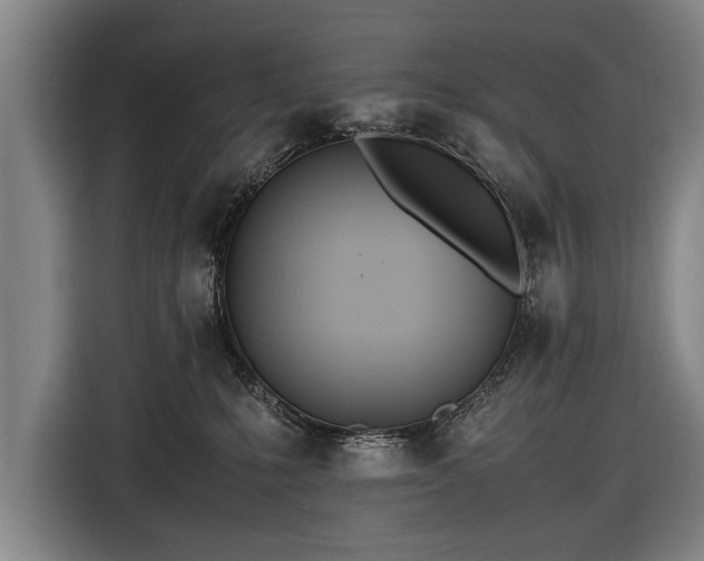 X0000116460231200912161238