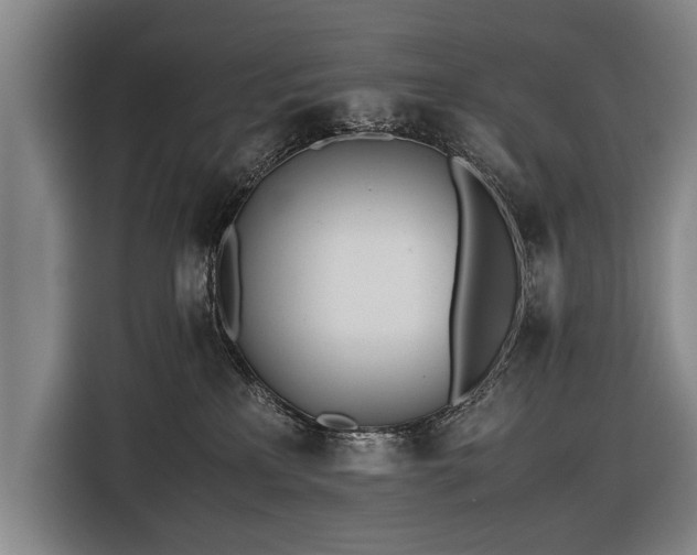 X0000116460233200912161238