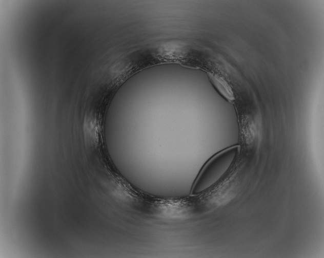 X0000116460235200912161238