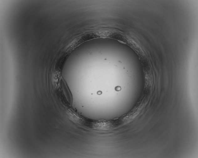 X0000116460237200912161238
