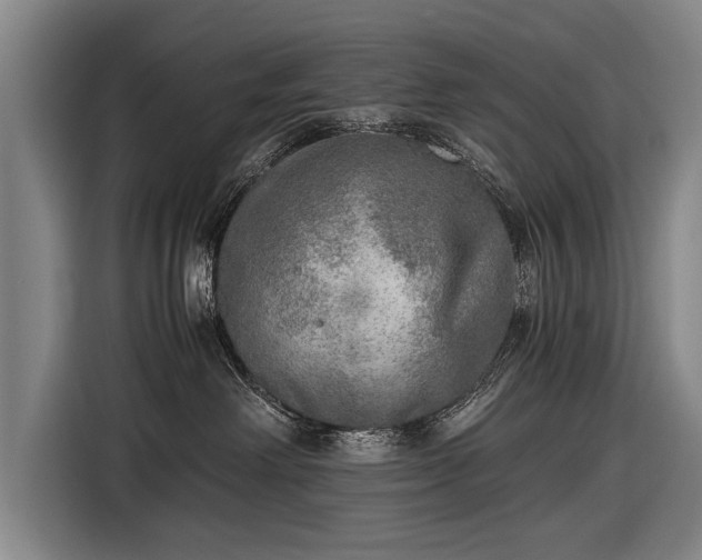 X0000116460238200912161238