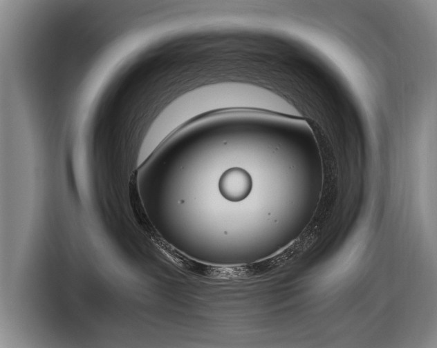 X0000116460239200912161238