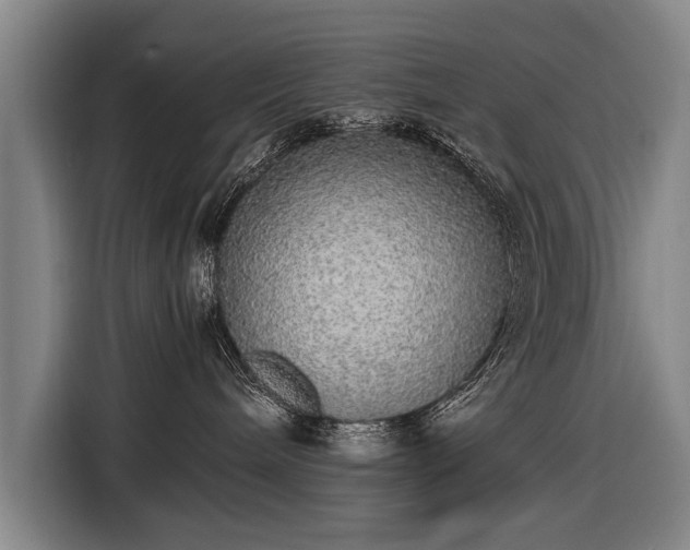 X0000116460240200912161238