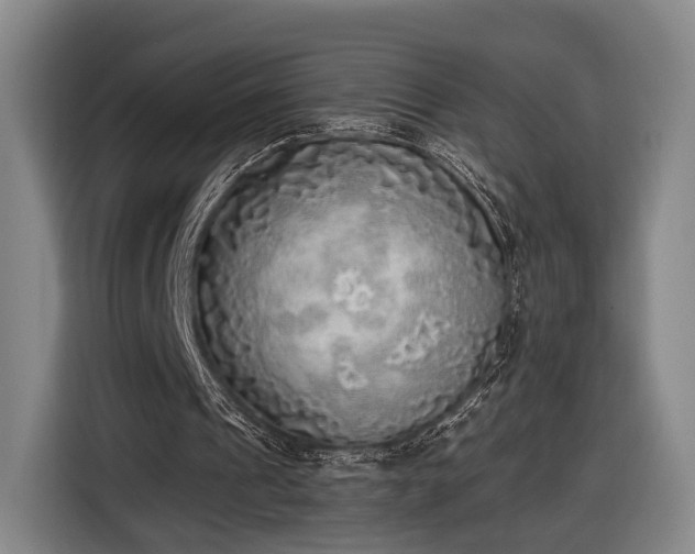 X0000116460241200912161238