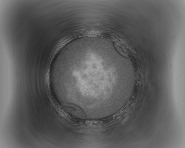 X0000116460242200912161238