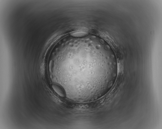 X0000116460243200912161238