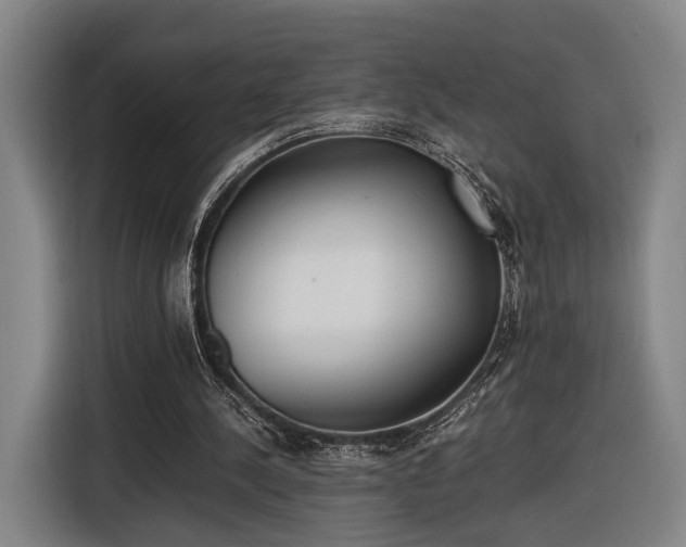 X0000116460244200912161238