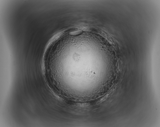 X0000116460245200912161238