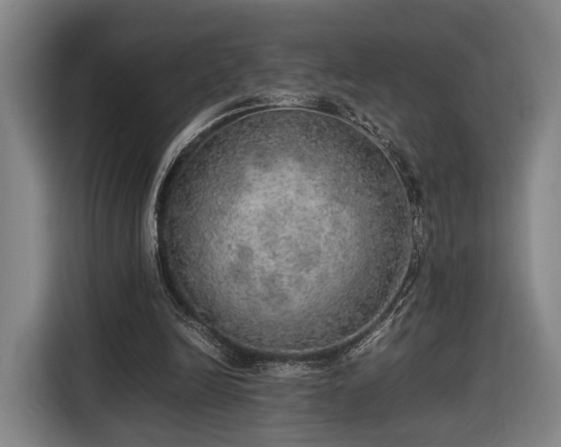 X0000116460246200912161238