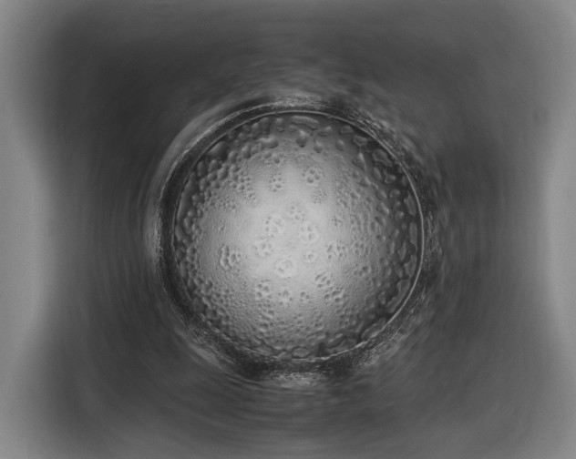 X0000116460247200912161238