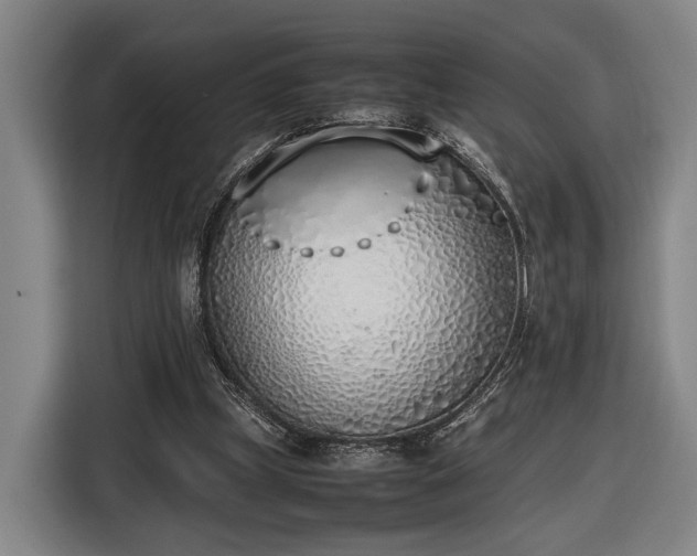 X0000116460249200912161238
