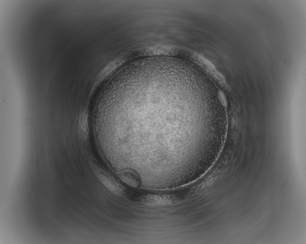 X0000116460250200912161238