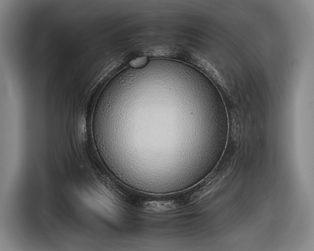 X0000116460251200912161238