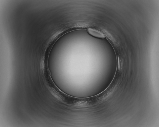 X0000116460252200912161238