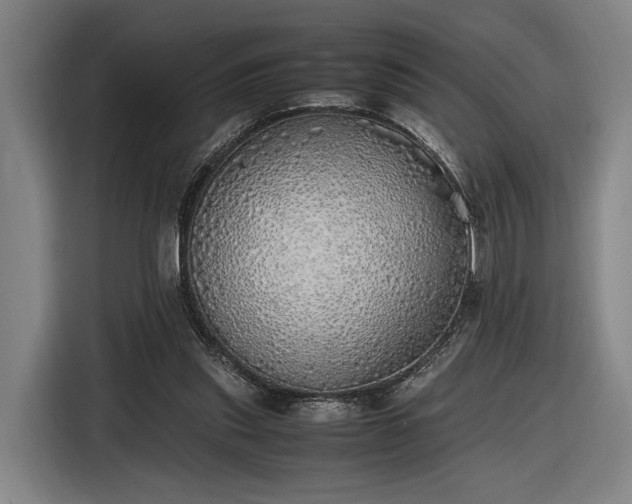 X0000116460253200912161238
