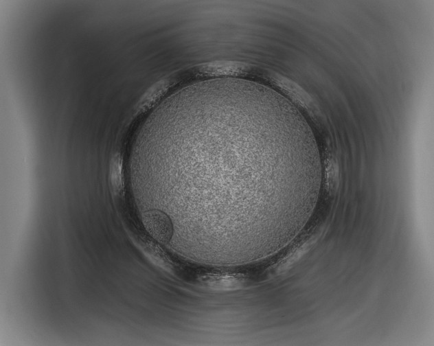 X0000116460254200912161238